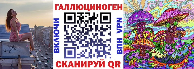 где купить наркоту  Лермонтов  Псилоцибиновые грибы Psilocybe 
